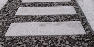 DSCF1098.JPG