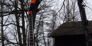 DSCF0186.JPG